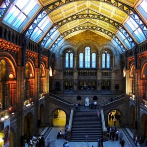 Natural History Museum - main hall