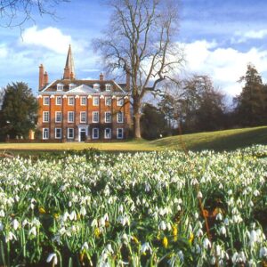 Snowdrops at Welford Park