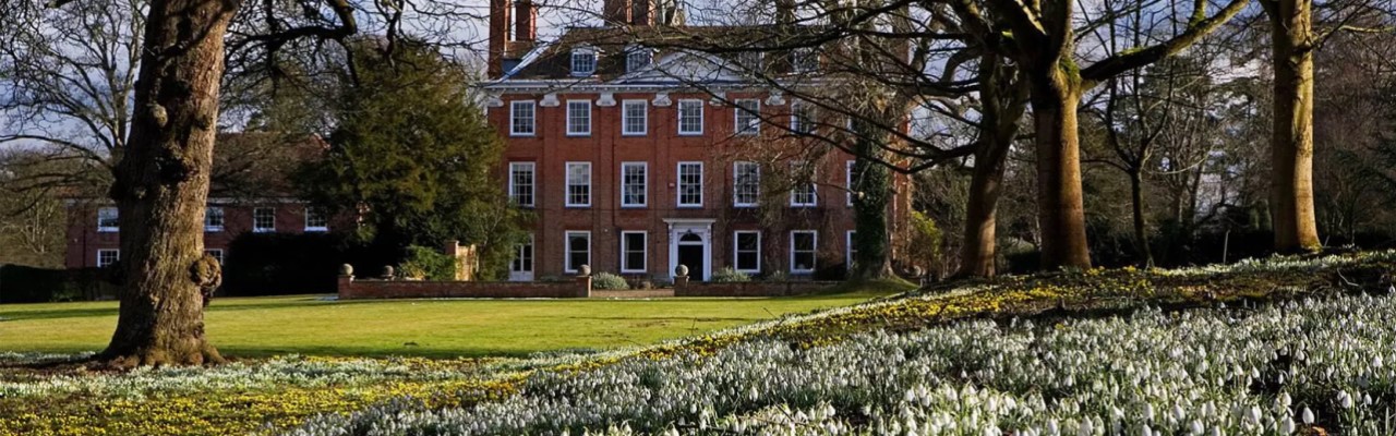 Snowdrops at Welford Park